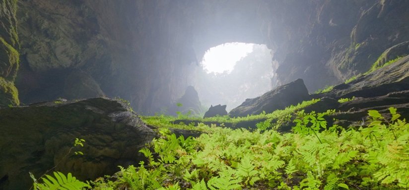 6 nights in Son Doong cave - the most expensive tour in Vietnam